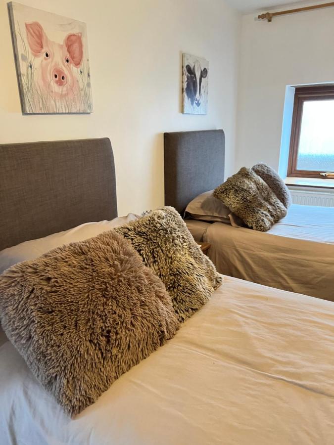 Bed and Breakfast Beudy Bach Cross Hands Exteriér fotografie