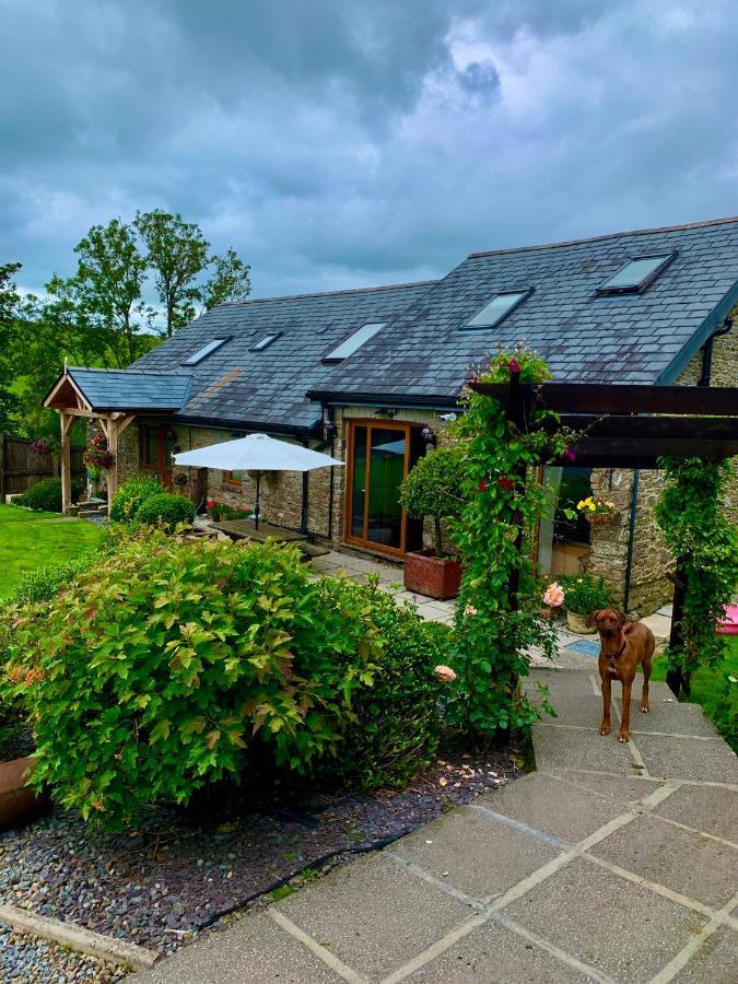 Bed and Breakfast Beudy Bach Cross Hands Exteriér fotografie