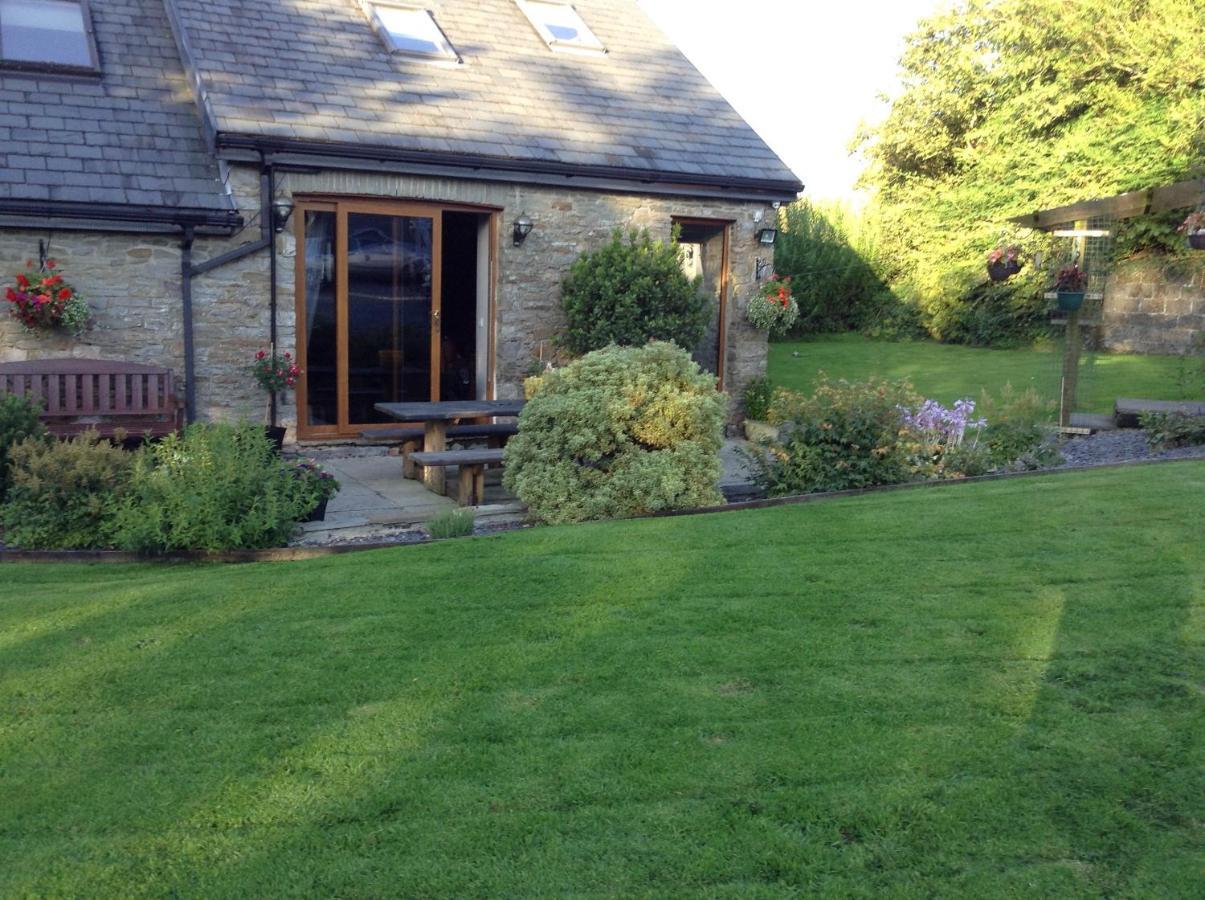 Bed and Breakfast Beudy Bach Cross Hands Exteriér fotografie